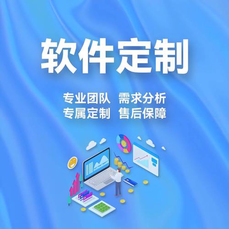 软件定制开发：助力企业精准触达市场
